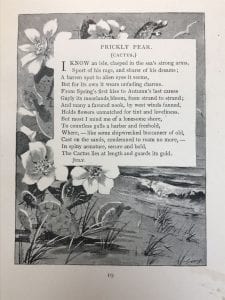 Emily Shaw Forman’s “Prickly Pear (Cactus),” from Wild-Flower Sonnets (1895), Armstrong Browning Library