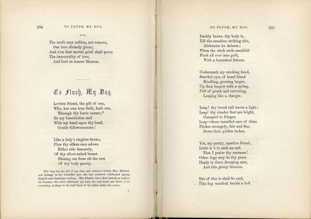 Displays the poem as published in The Poetic Album. 