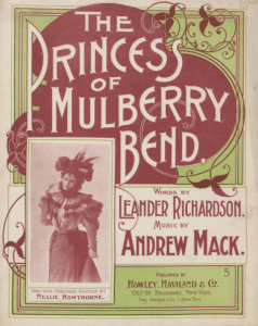 The Princess of Mulberry Bend, 1898